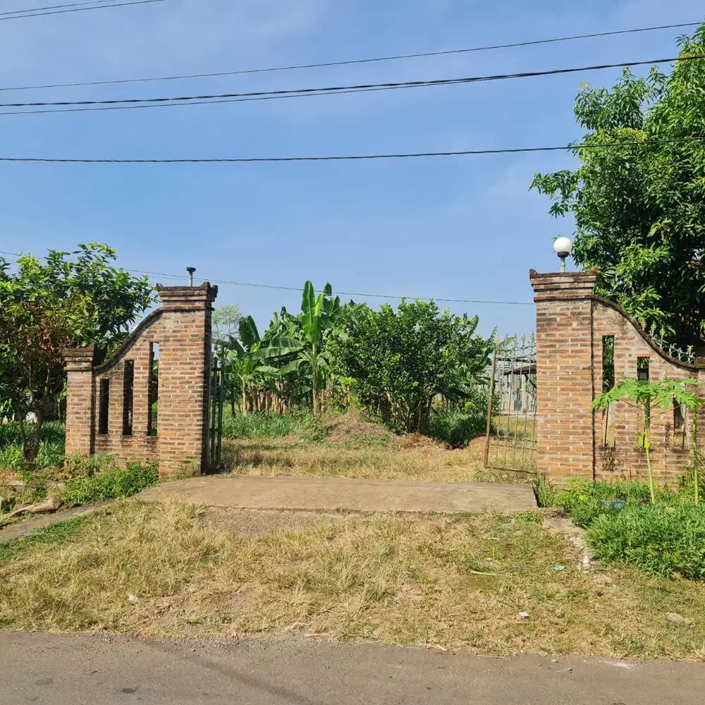 DIJUAL TANAH LUAS ±1 HEKTARE – TLOGOWUNGU, PATI   LUAS 10.392 M