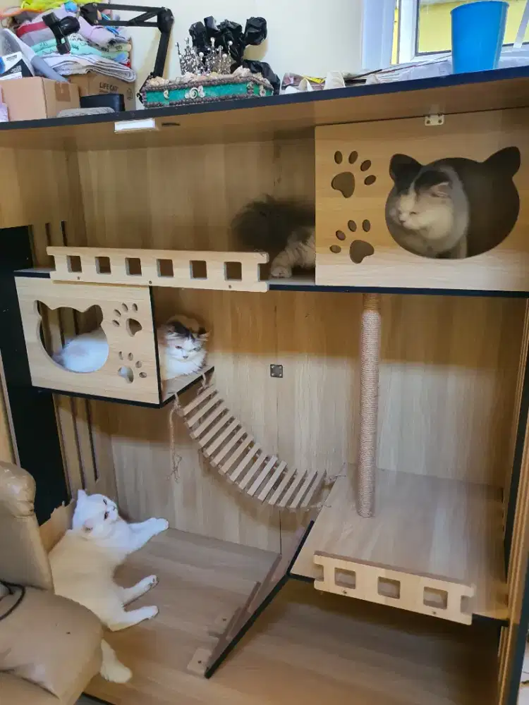 RUMAH KUCING TINGKAT UK P.120 T.125.L60