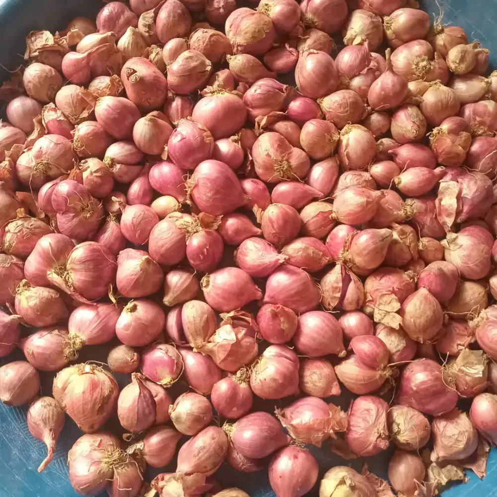 Bawang merah kondisi bagus harga perkilo