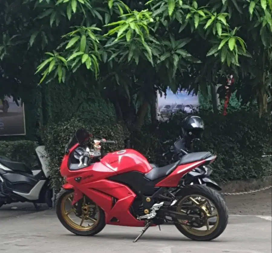 Ninja Karbu 250