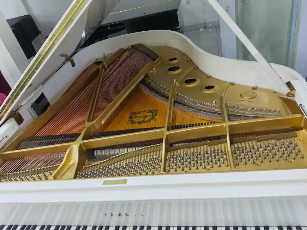 Yamaha grand piano C3E disklaver kontrol dengan aplikasi hp
