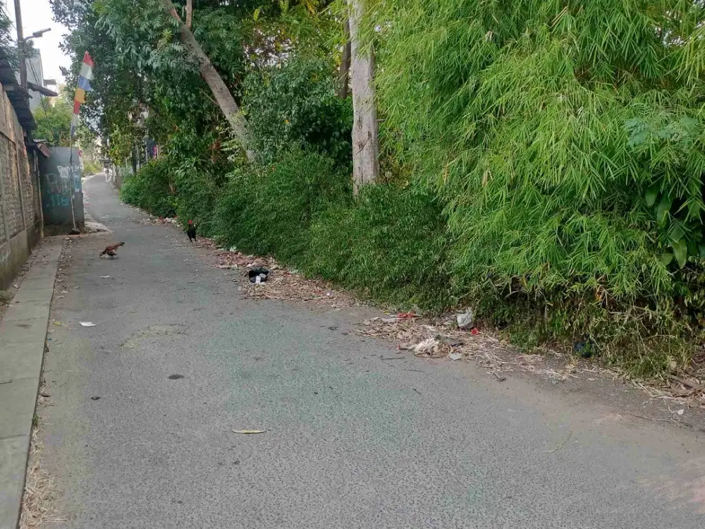 tanah murah jurnag Mangu barat bintaro