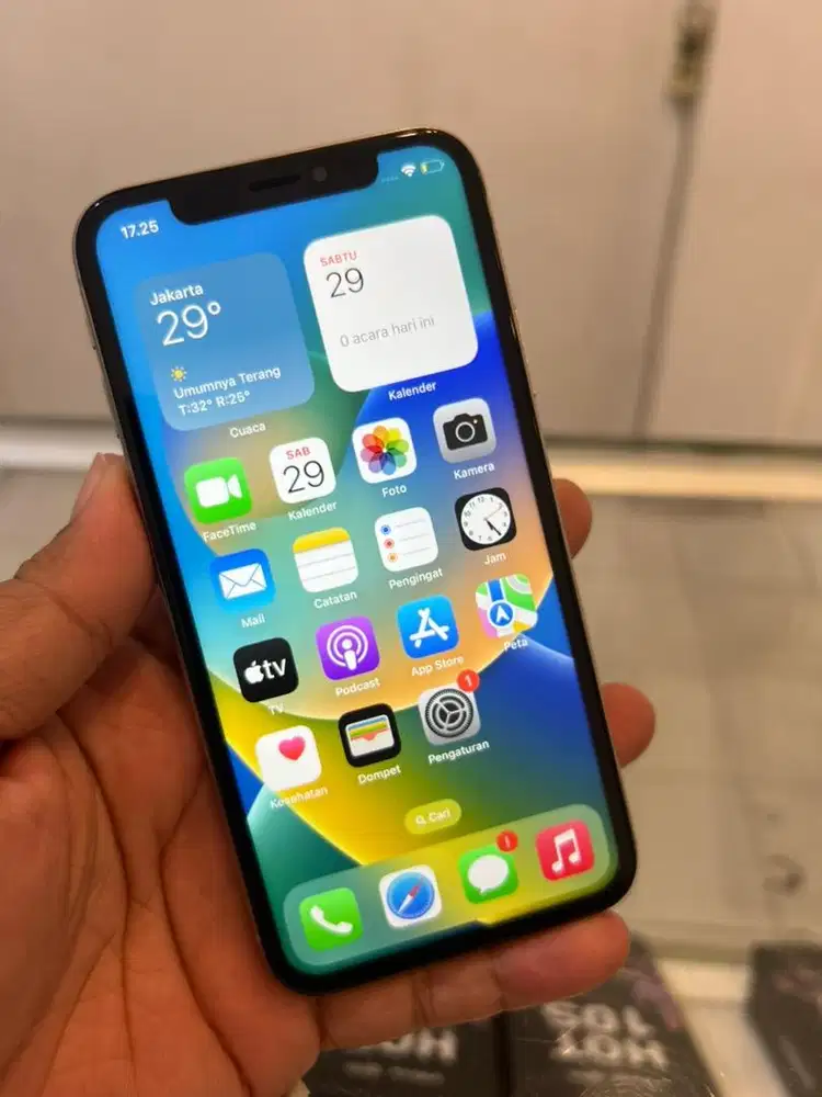 Iphone X penyimpanan 256