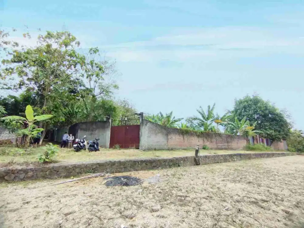 Tanah Murah Lahan 1 Hektar Strategis di Gondangrejo