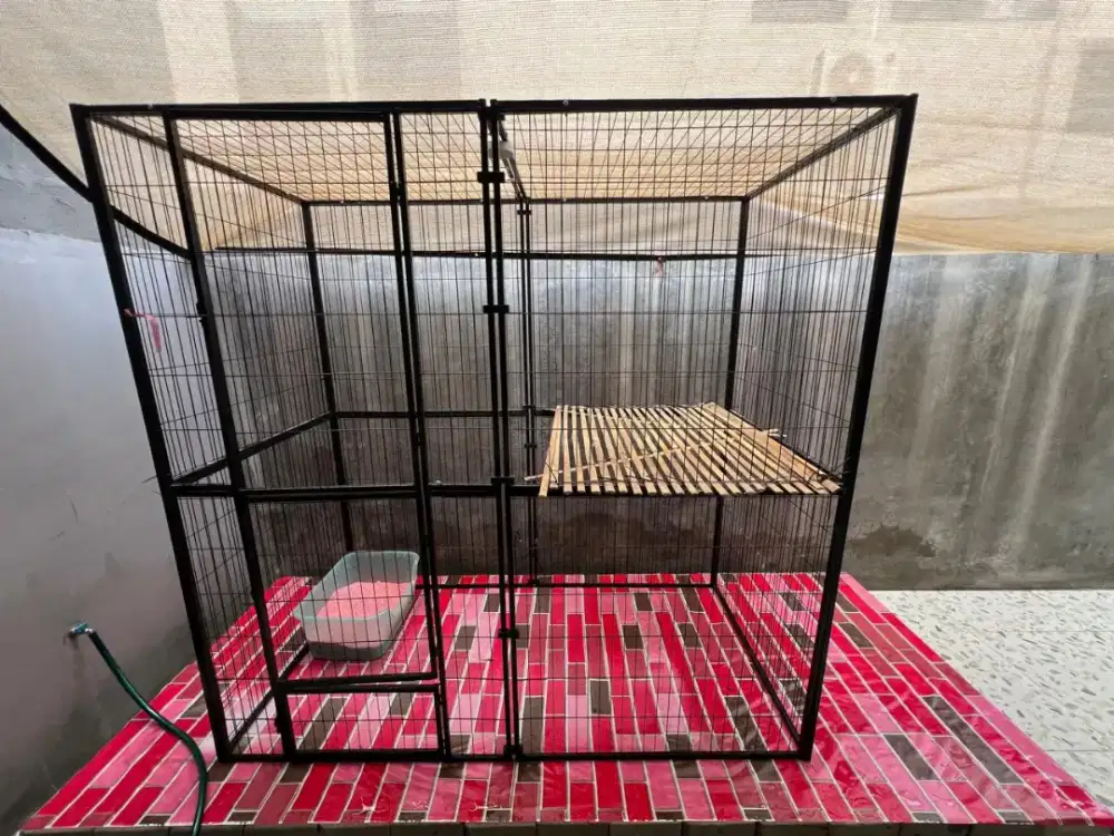 Kandang kucing atau bisa buat anjing