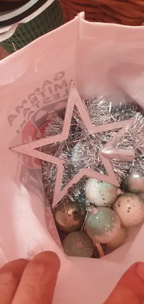Dijual pohon natal