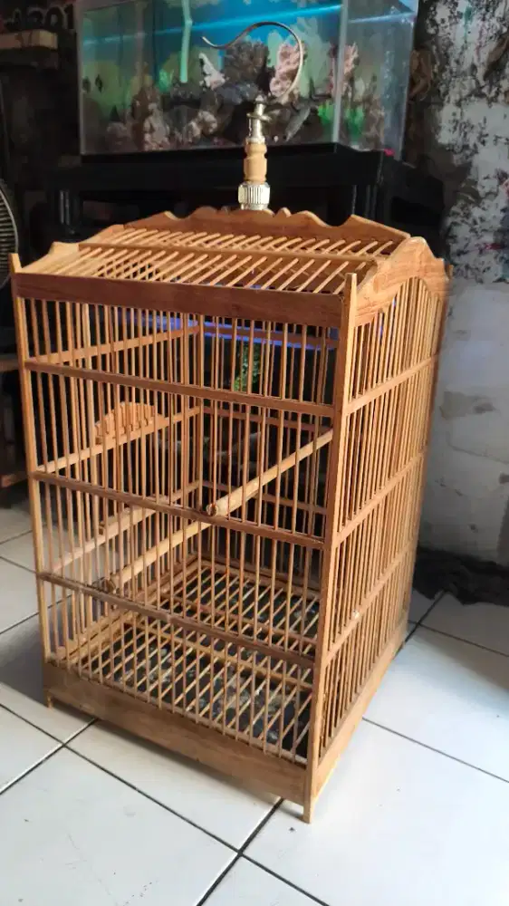 Kandng kotak besar nomer 2 kokoh lengkap cepuk tangkringan karpet