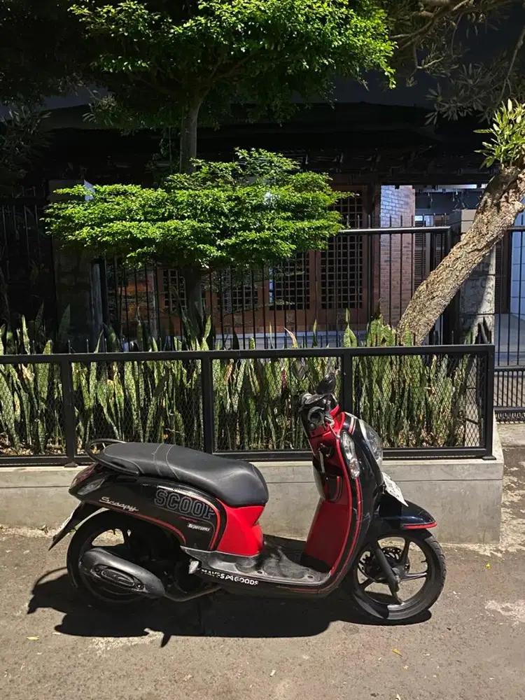 scoopy 2014 isi
