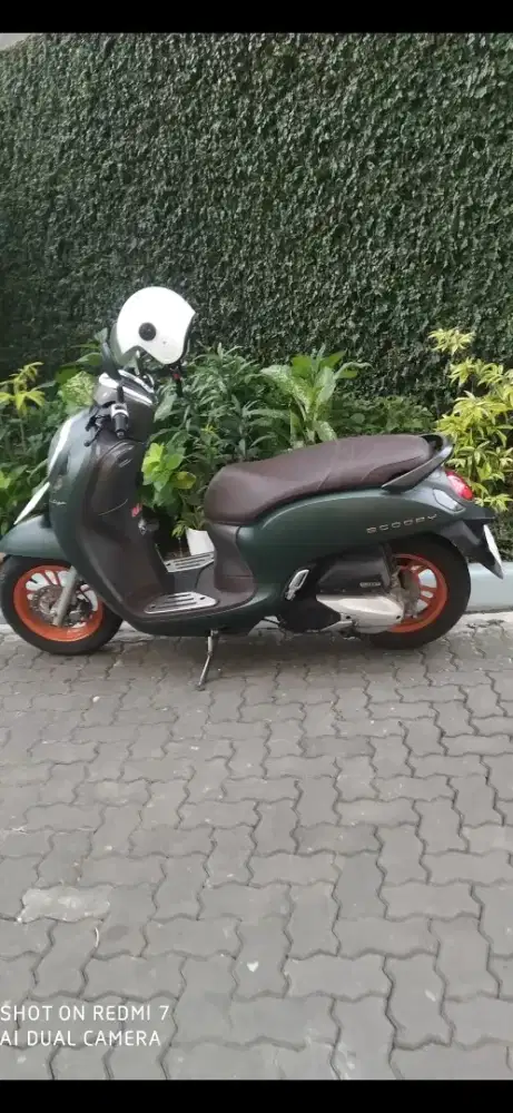 Scoopy pristige 2023