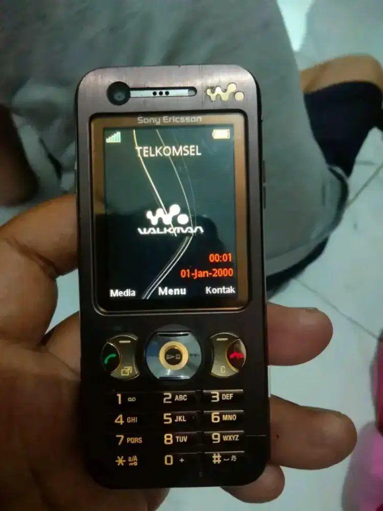 Sony Ericsson W890i hp casan