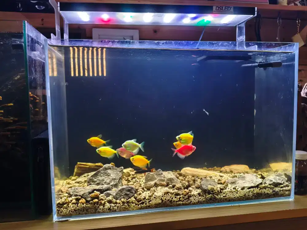 Aquarium Aquascape, Vivaria optic clear P45xL27xT30