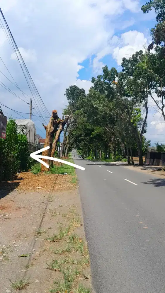 Tanah Karanganyar Kota Tepi Jalan Raya