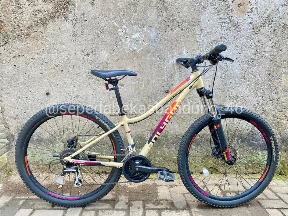 MTB/Sepeda Gunung Polygon Cleo 2