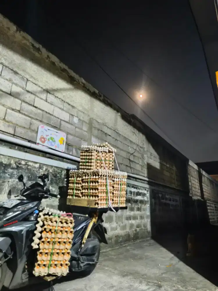 Dibutuhkan karyawan untuk toko telur bagian pengiriman