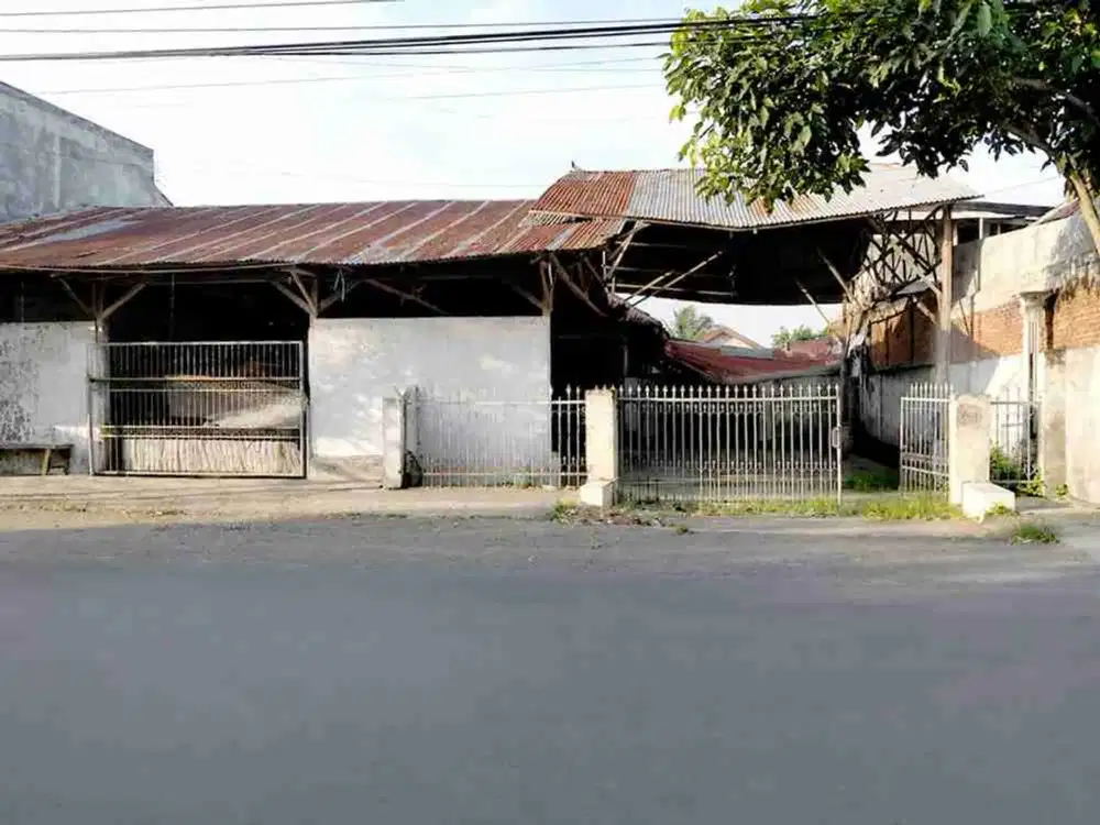 Hitung Tanah Properti SHM Luas 700 M² di Diponegoro, Lombok Timur (Ntb) Nol Jalan Raya Dekat Rsud Dr. R. Soedjono Selong dan Rinjani Water Park