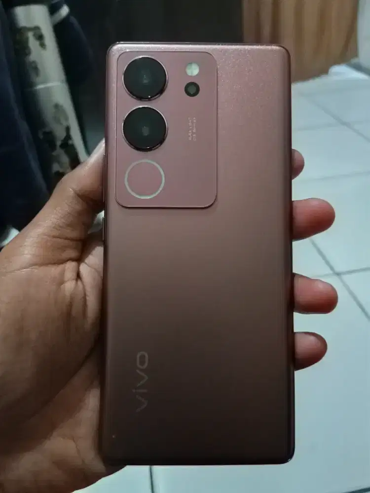 Vivo v29 5g 8+8/256