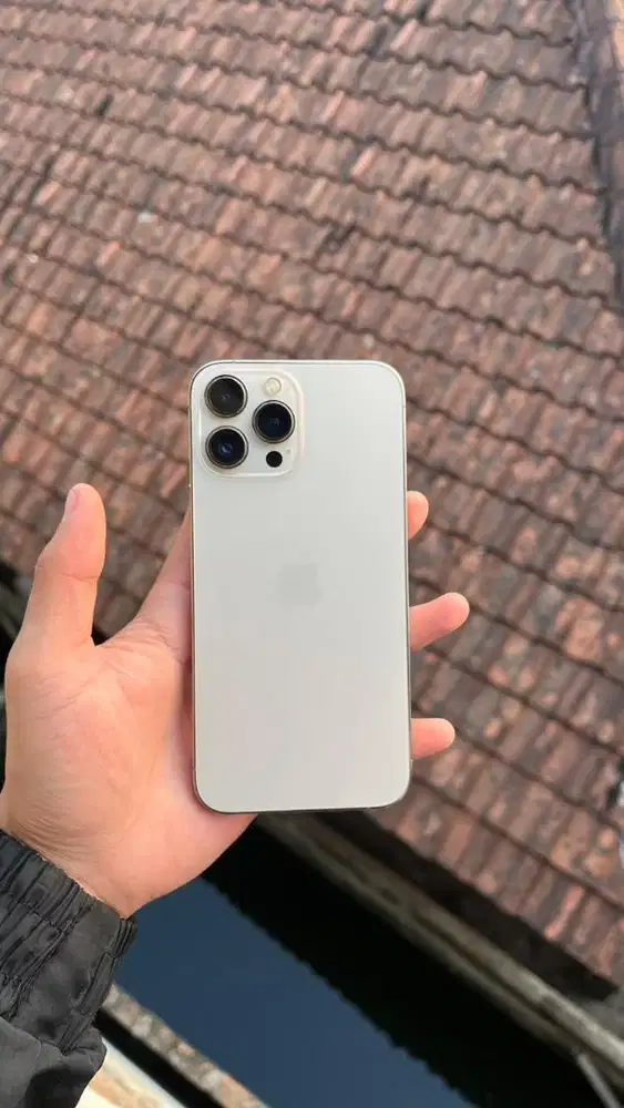 iPhone 13 Pro Max 256GB Beacukai