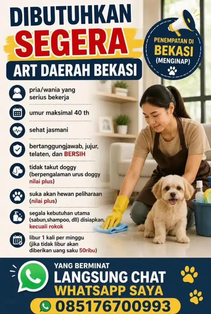 [URGENT] DIBUTUHKAN ART CEWE
