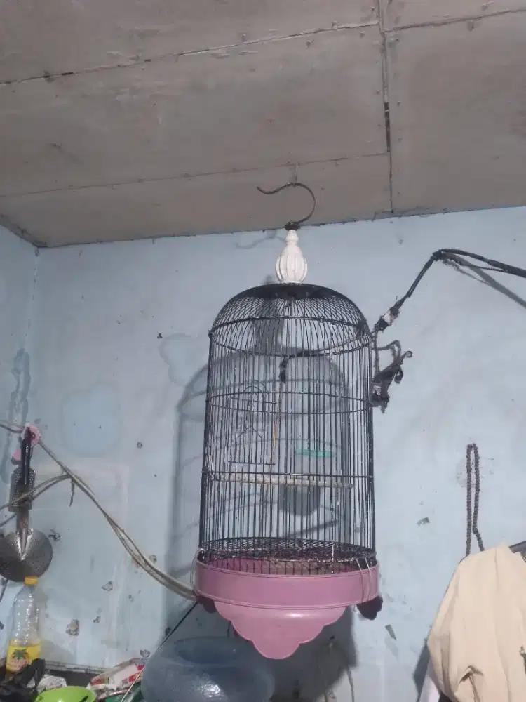Kandang burung masih mulus tidak ada minus