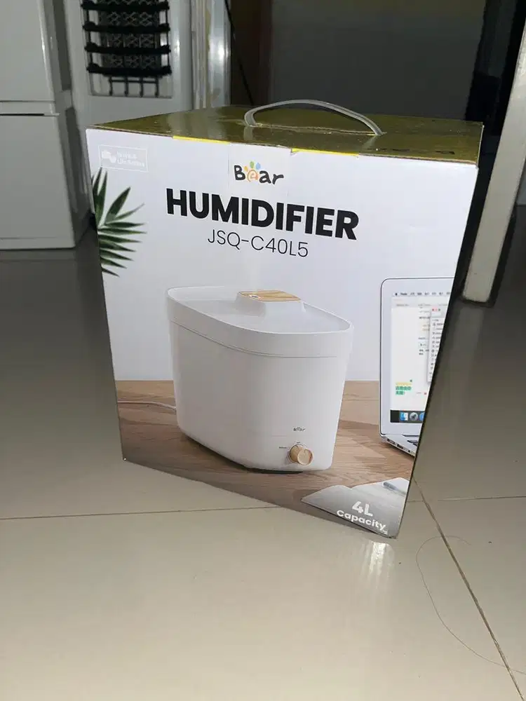 Humidifier bear