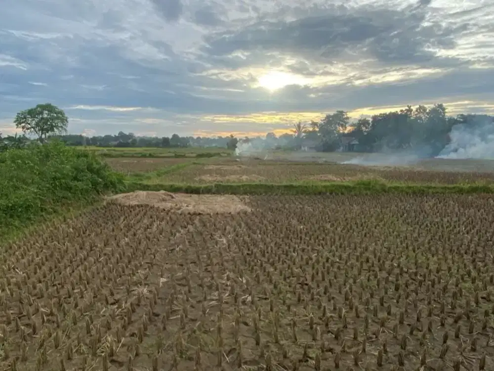Tanah Sawah Padat Babat, Legok Tangerang Banten