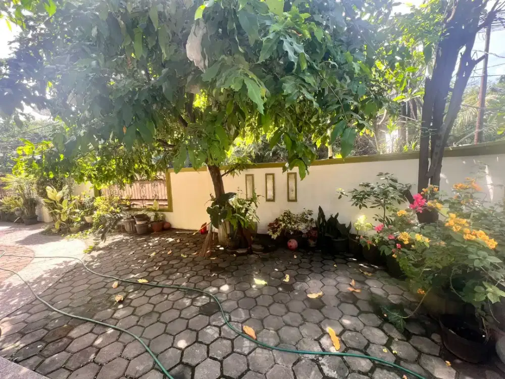 Asisten rumah tangga