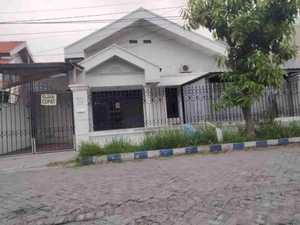 Sutorejo cocok untuk kost rumah usaha tembus Unair dan Galaxy mall