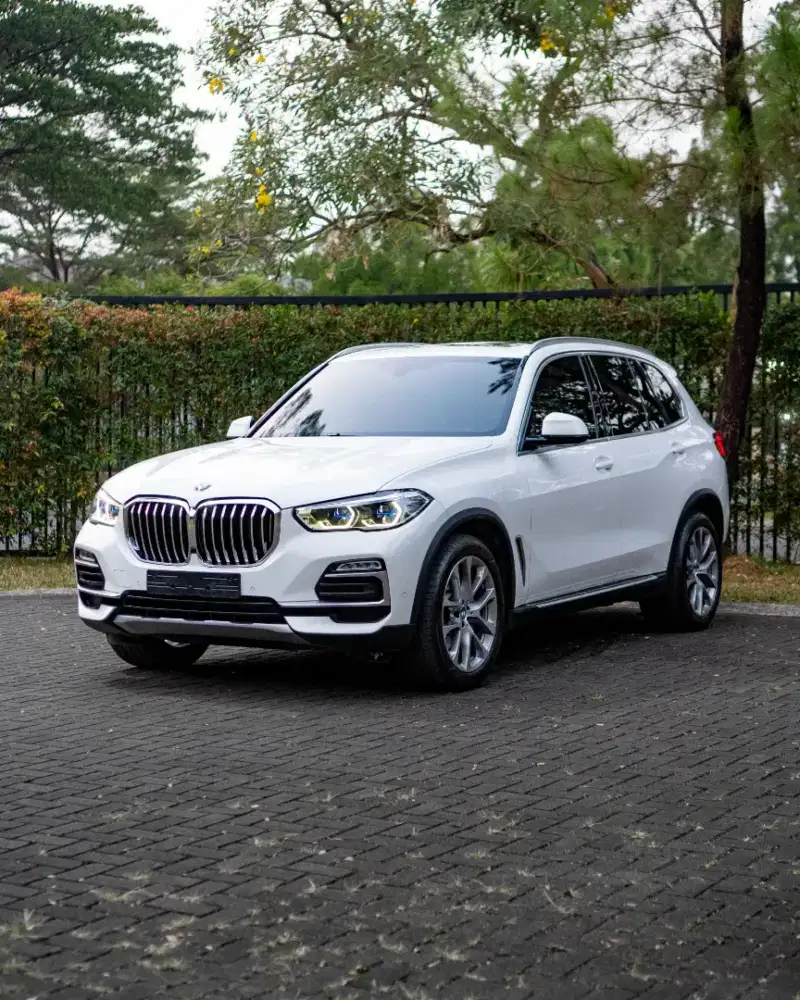 BMW X5 xDrive 40i xLine G05