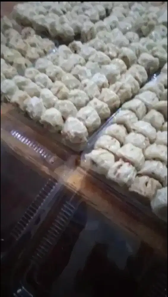 Dimsum Jumbo Echodinno