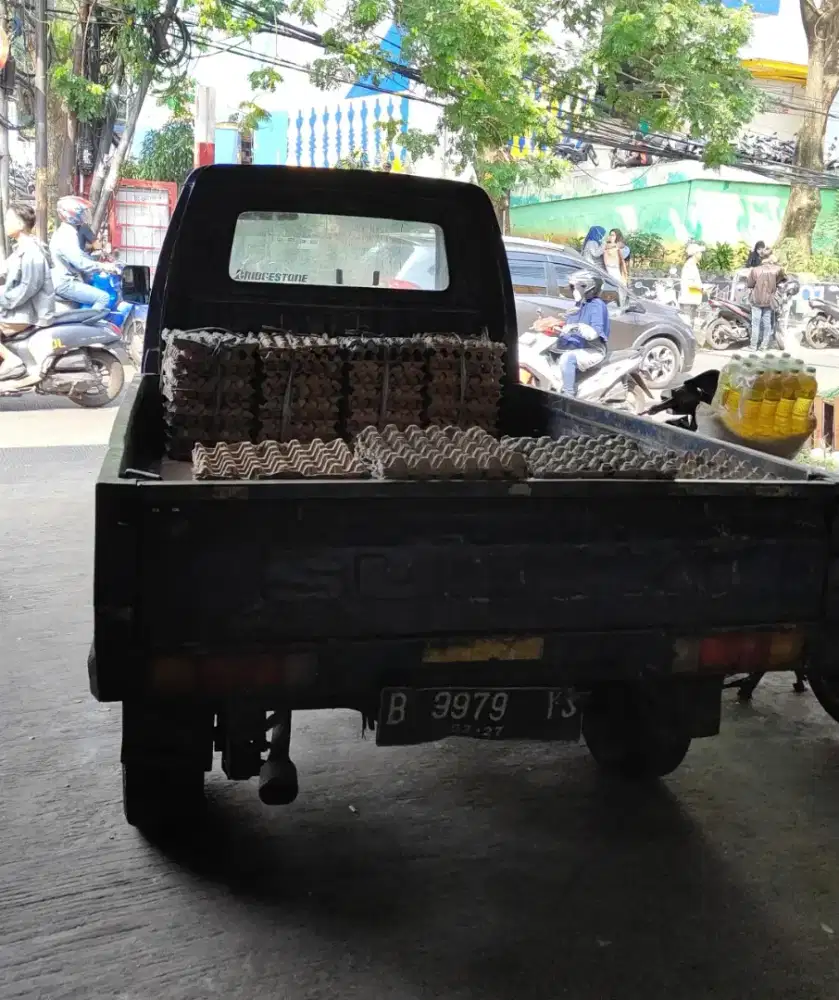 Lowongan kerja di gudang telur