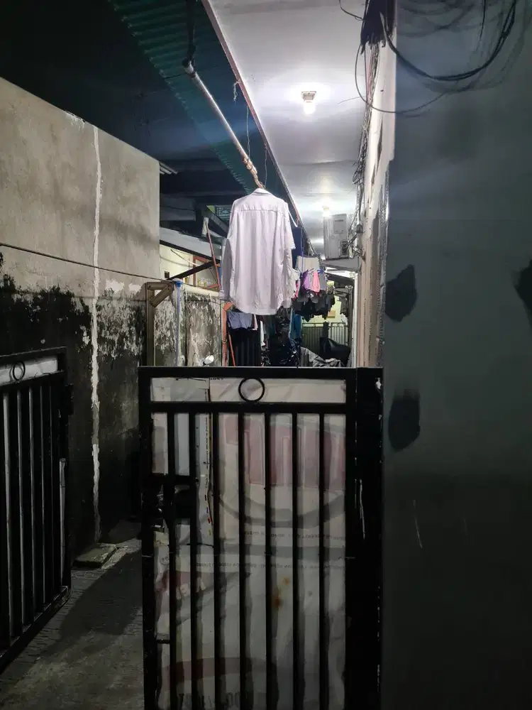 Rumah Kontrakan Nyaman dan Asri