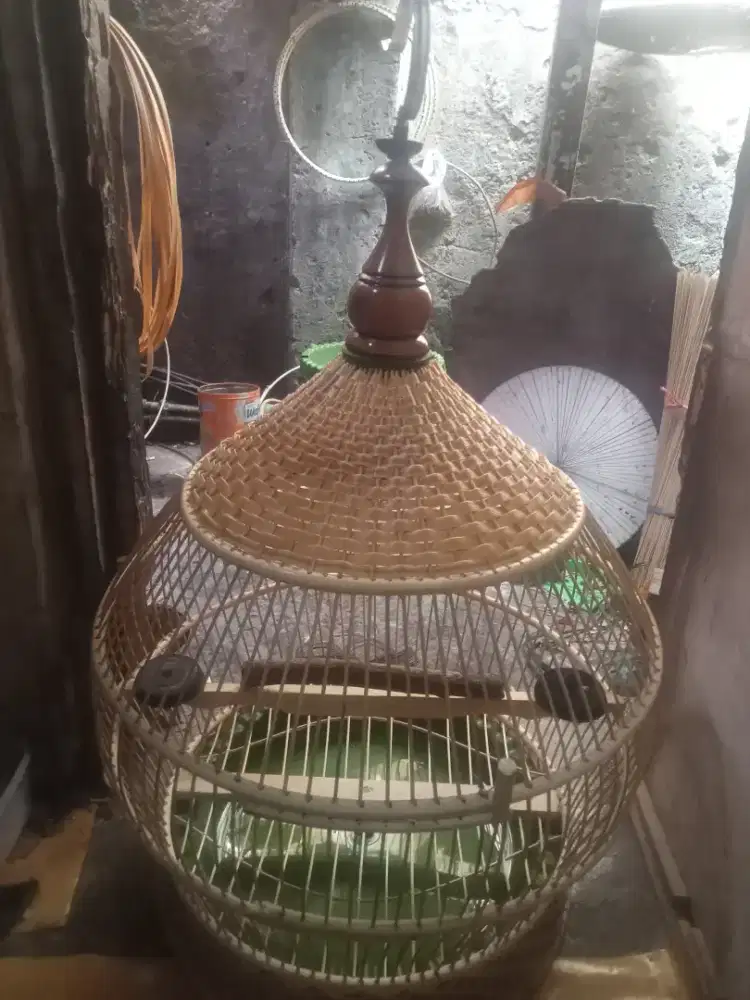 Sangkar tekukur baru