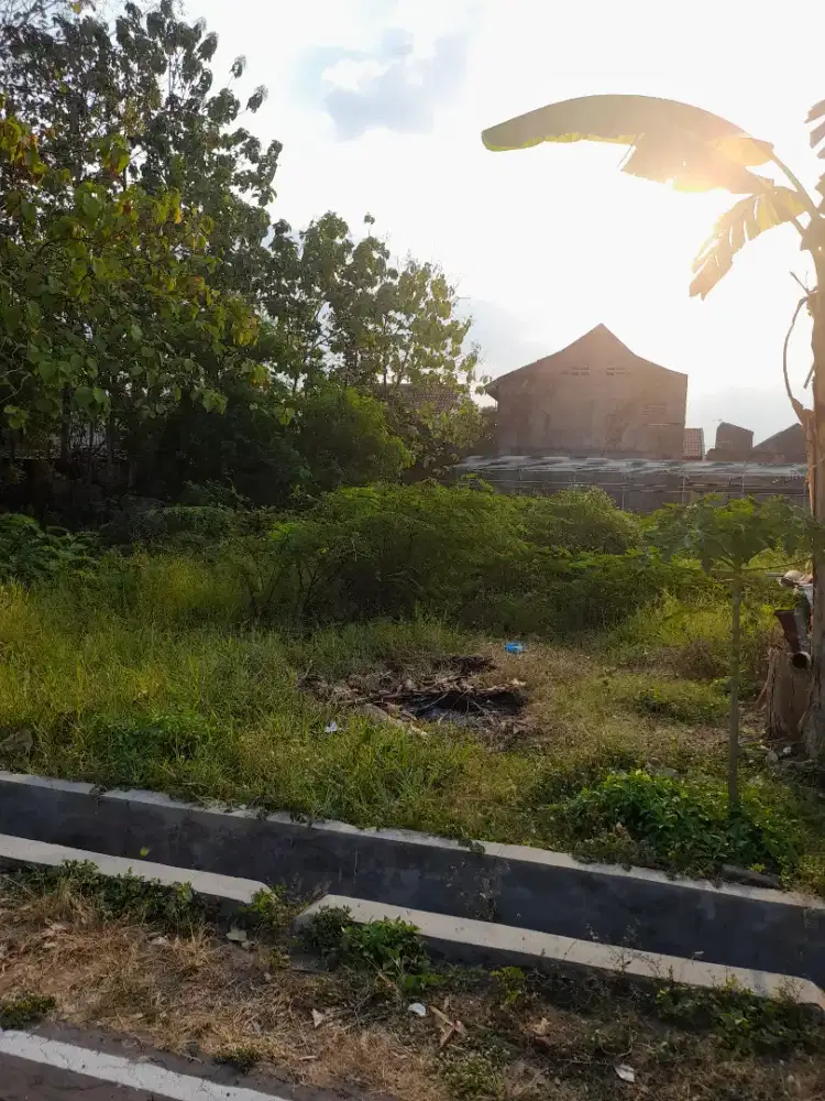 tanah kavling Betorosuryo, Senggolangit