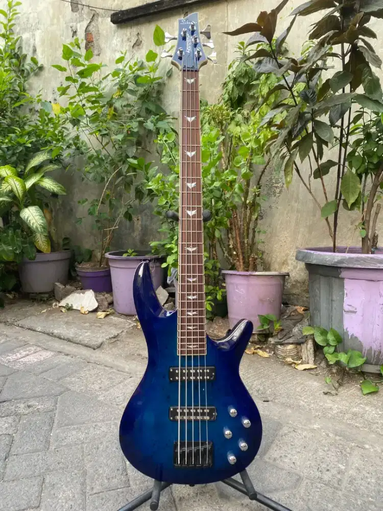 Bass schecter 5strings aktif preamp