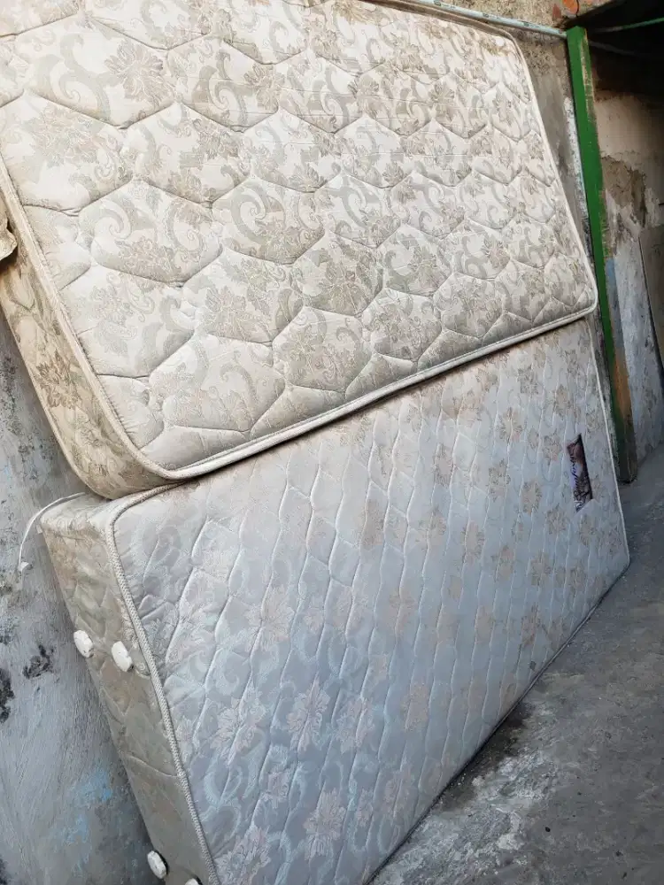 Kasur Comforta silver plus dipan 100x200