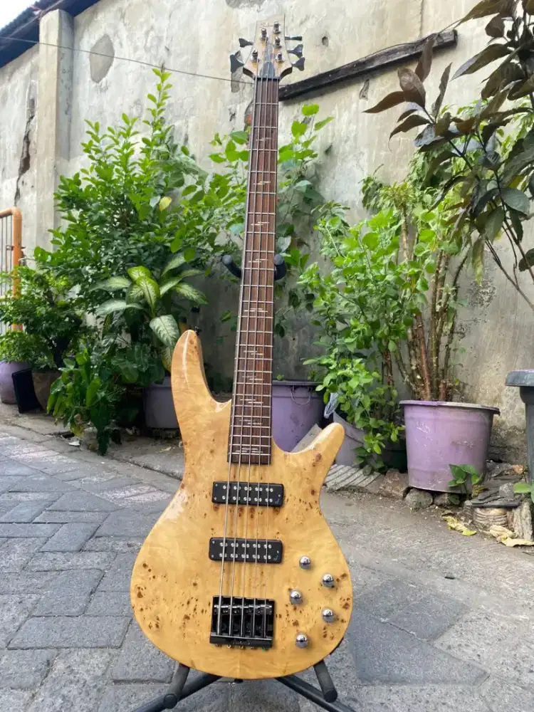Bass schevter 5string natural poplar