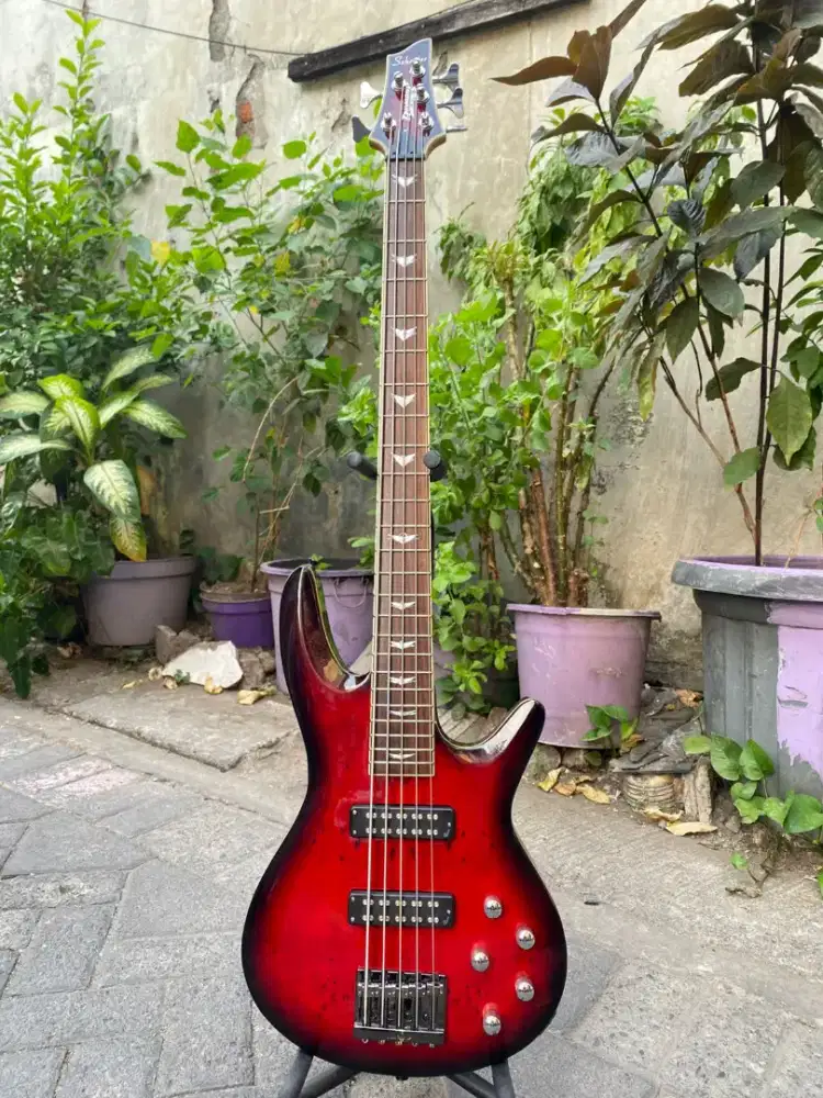 Bass 5string schecter aktif preamp