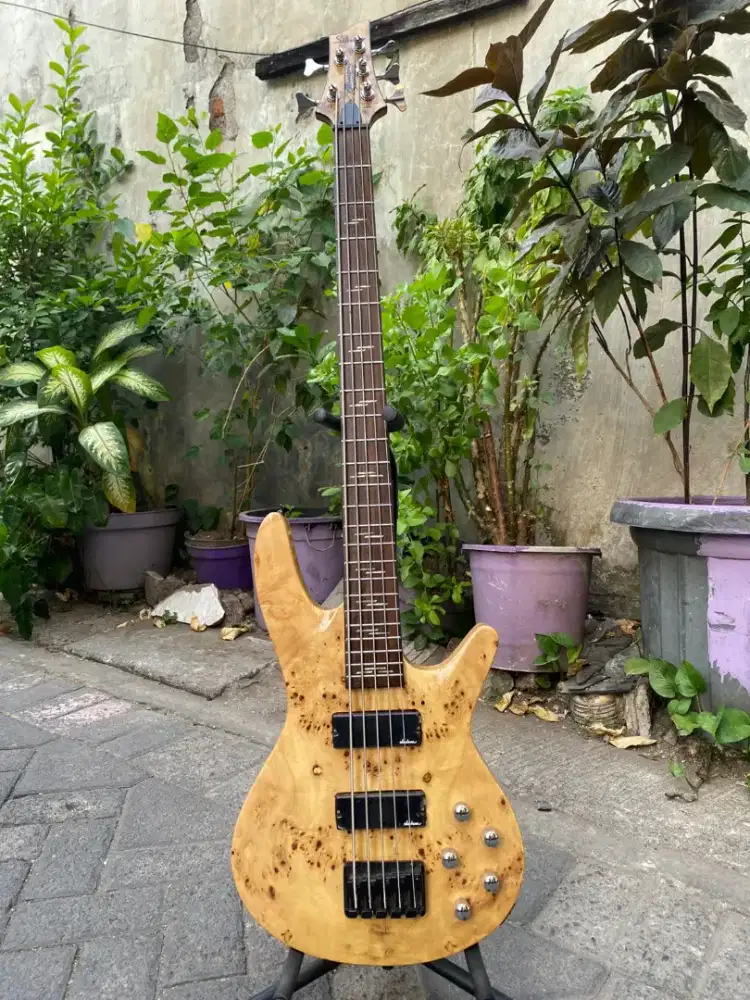 Bass schecter 5string poplar vener