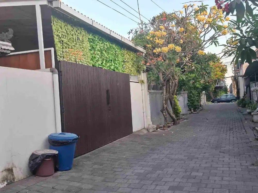 Tanah luas kecil langka jalan Tukad Badung Renon Denpasar selatan Bali