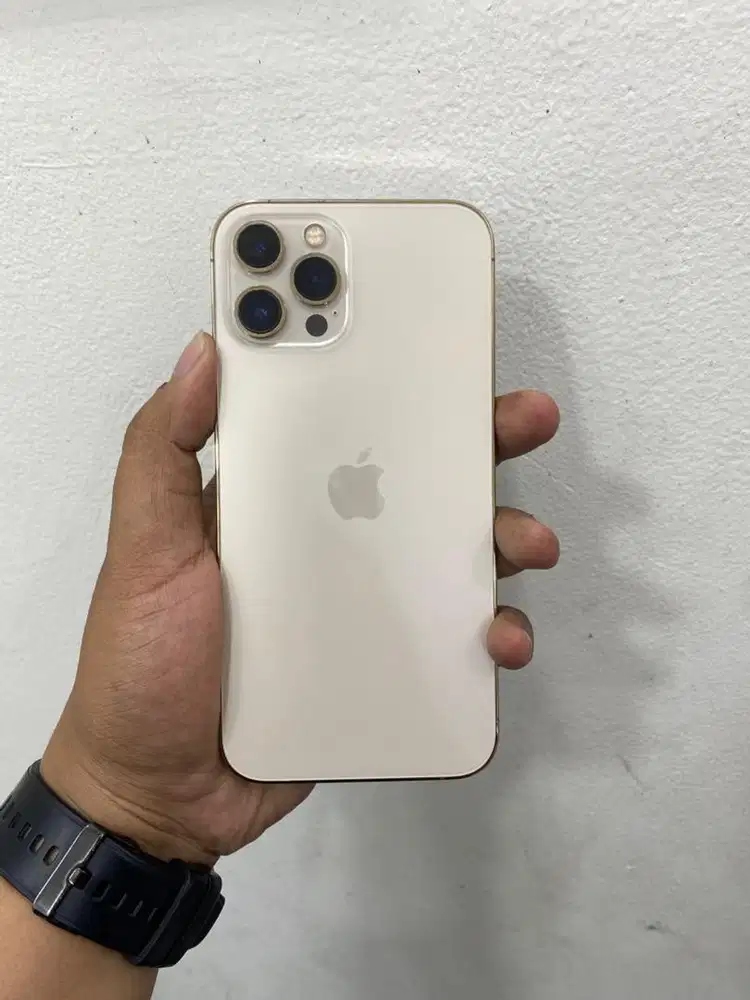 iphone 12 pm 256 inter