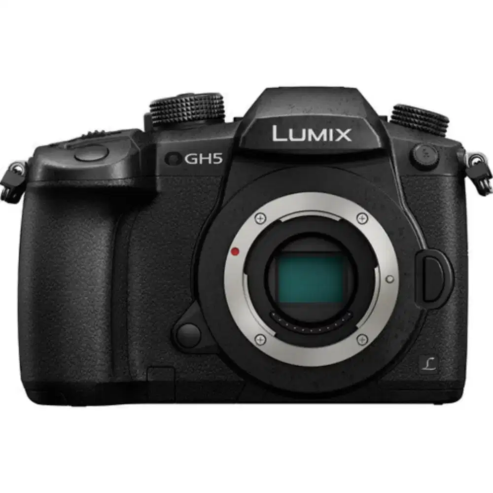 Lumix GH5 berfungsi normal & murah