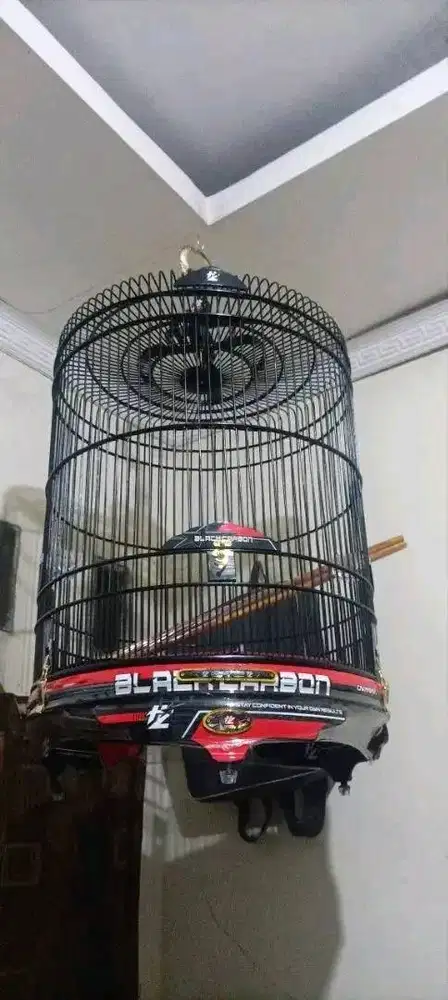Sangkar Murai Cakrawala No. 2