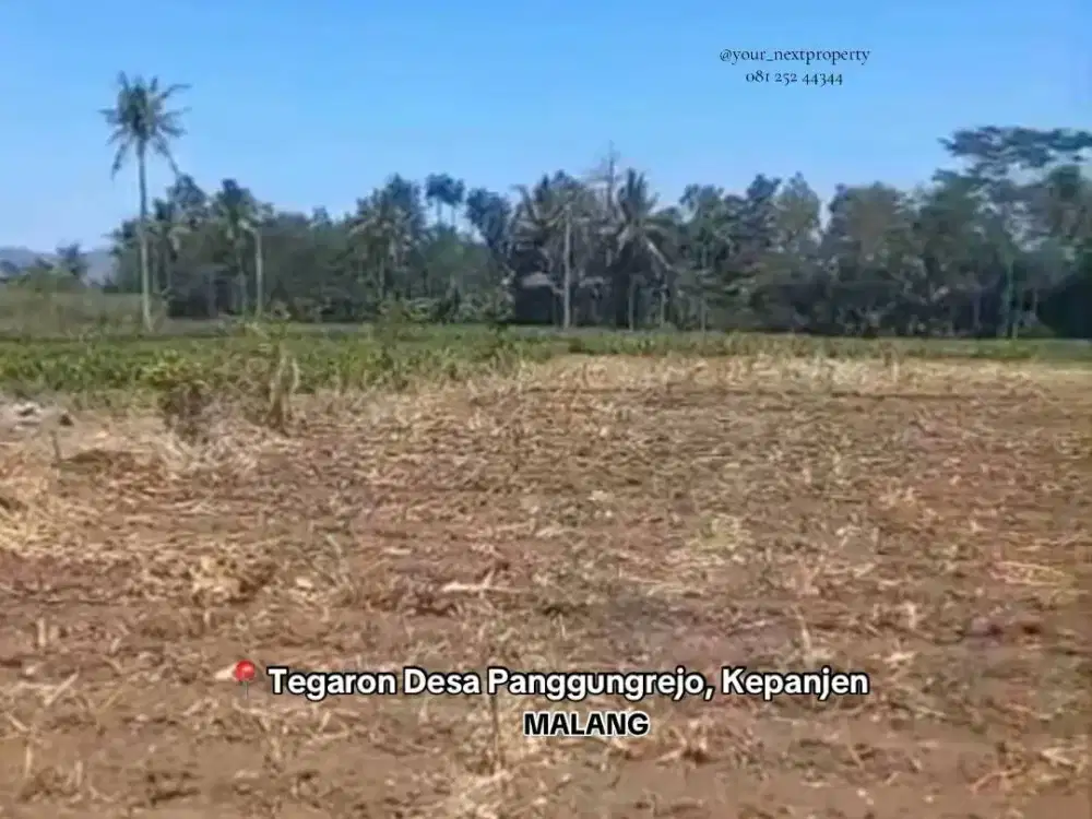 Lahan Di Tegaron Desa Panggungrejo Kepanjen Malang