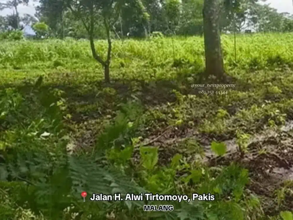 Tanah Pekarangan Di Area Jalan H. Alwi Tirtomoyo Pakis Kabupaten Malang