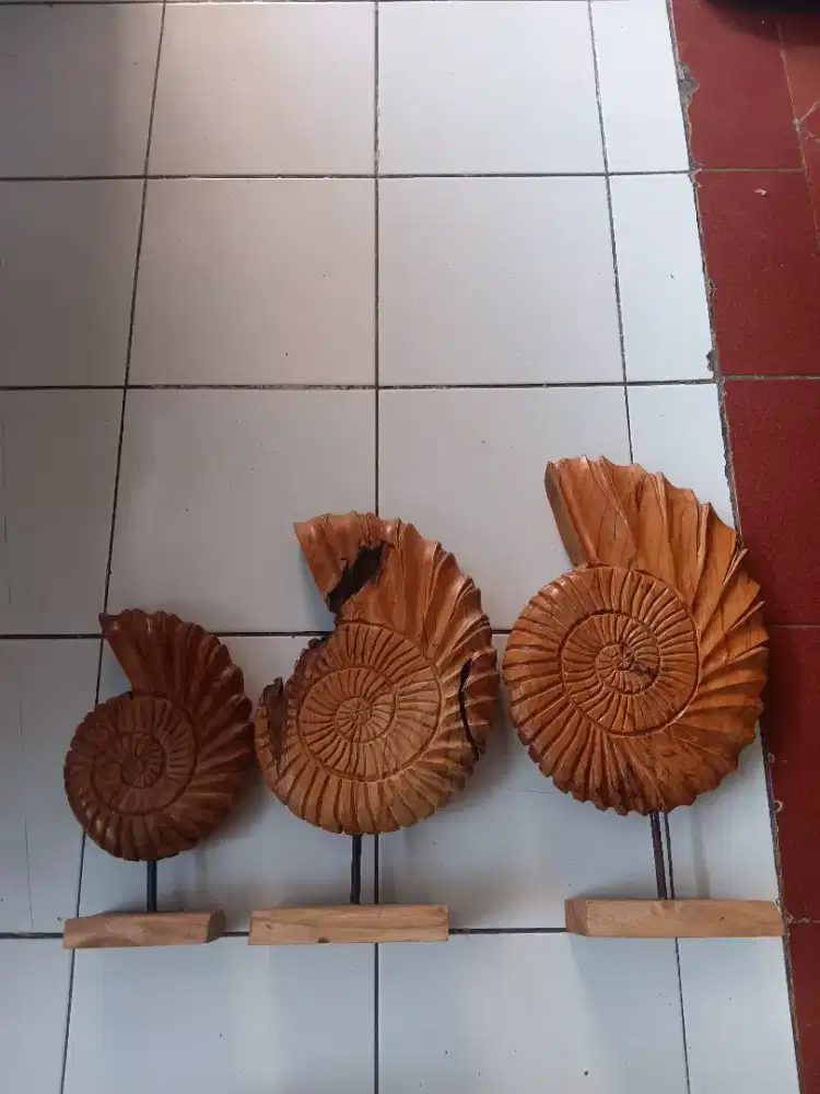 Hiasan Cangkang Kayu Jati