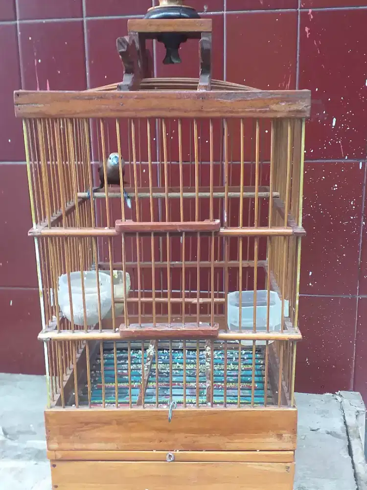 Emprit haji bunyi ples sangkar