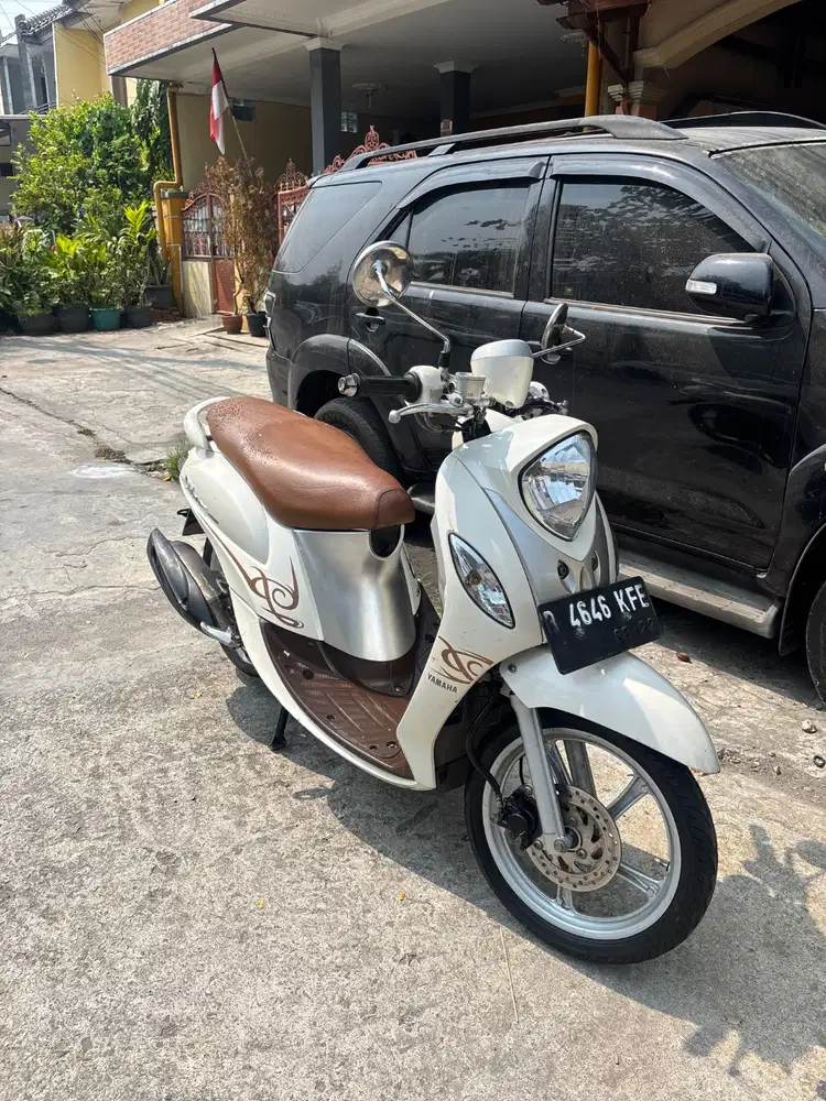 Fino premium 2017