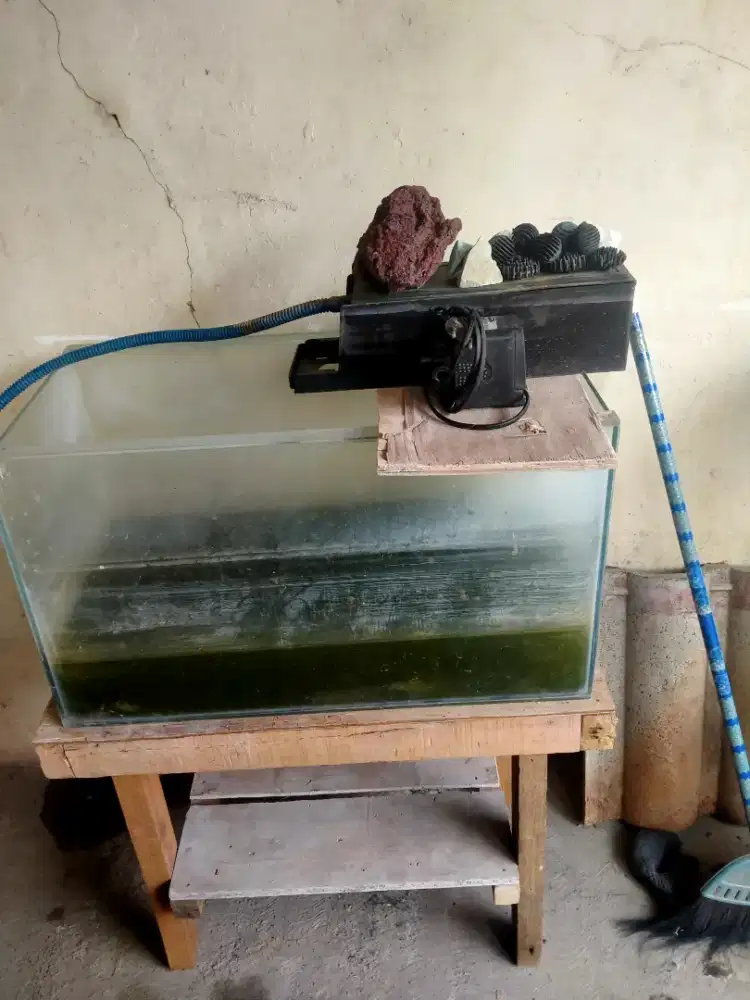 Aquarium dan meja ikan lengkap dgn filter dan batu