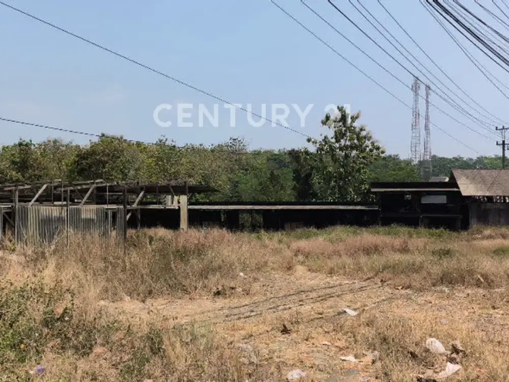 Dijual Tanah Zona Industri Nempel Jalan Pantura Batang