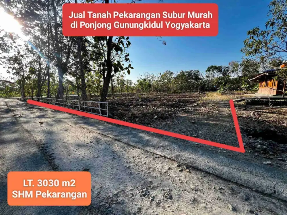 Jual tanah strategis pekarangan murah subur di Ponjong Gunungkidul Yogyakarta